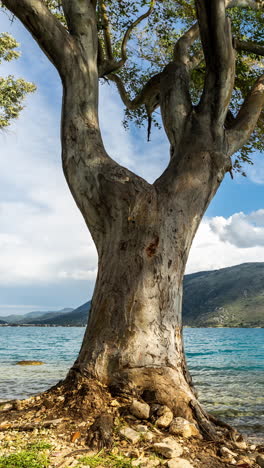 wild-beach-in-greece-in-vertical