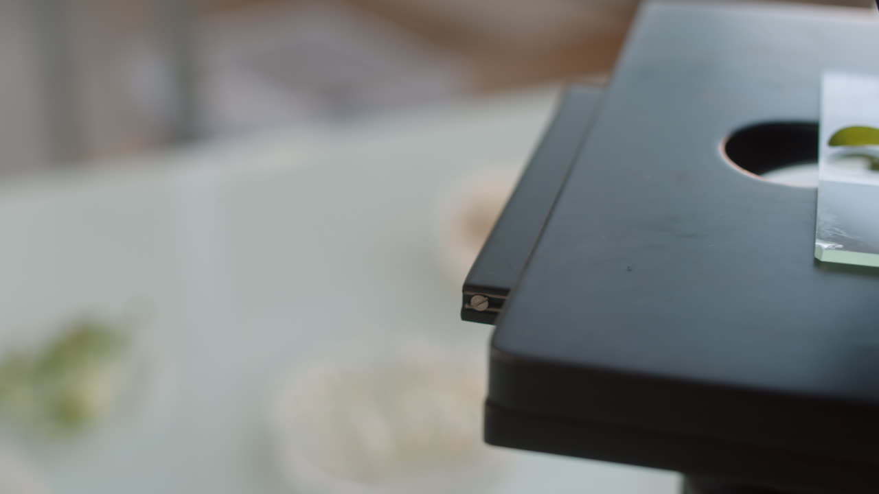 식물 잎의 현미경 검사