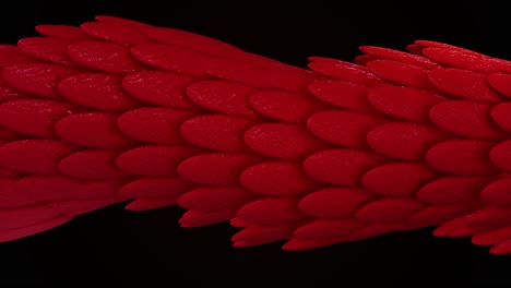 red dragon scales