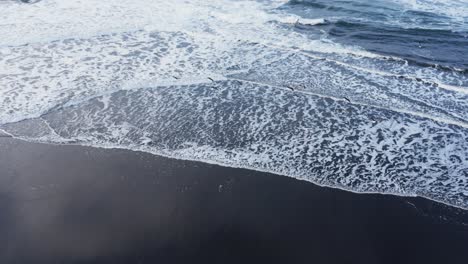 Flock-of-seagulls-taking-flight-over-waves-breaking-on-shore,-aerial