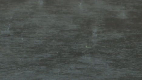 Rain-Thunderstorm-Flooded-Pathway-Australia-Victoria-Gippsland-Maffra