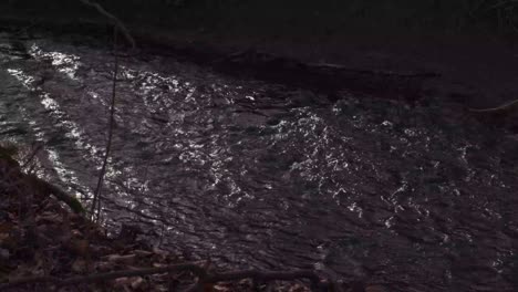 river running through a forrest - slowmotion