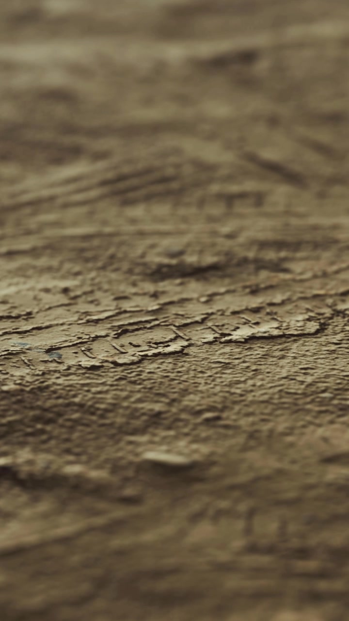 Wooden surface shows texture and details in natural light during daylight