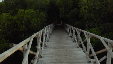 toma aérea que muestra un puente de bambú que se adentra en un bosque tropical