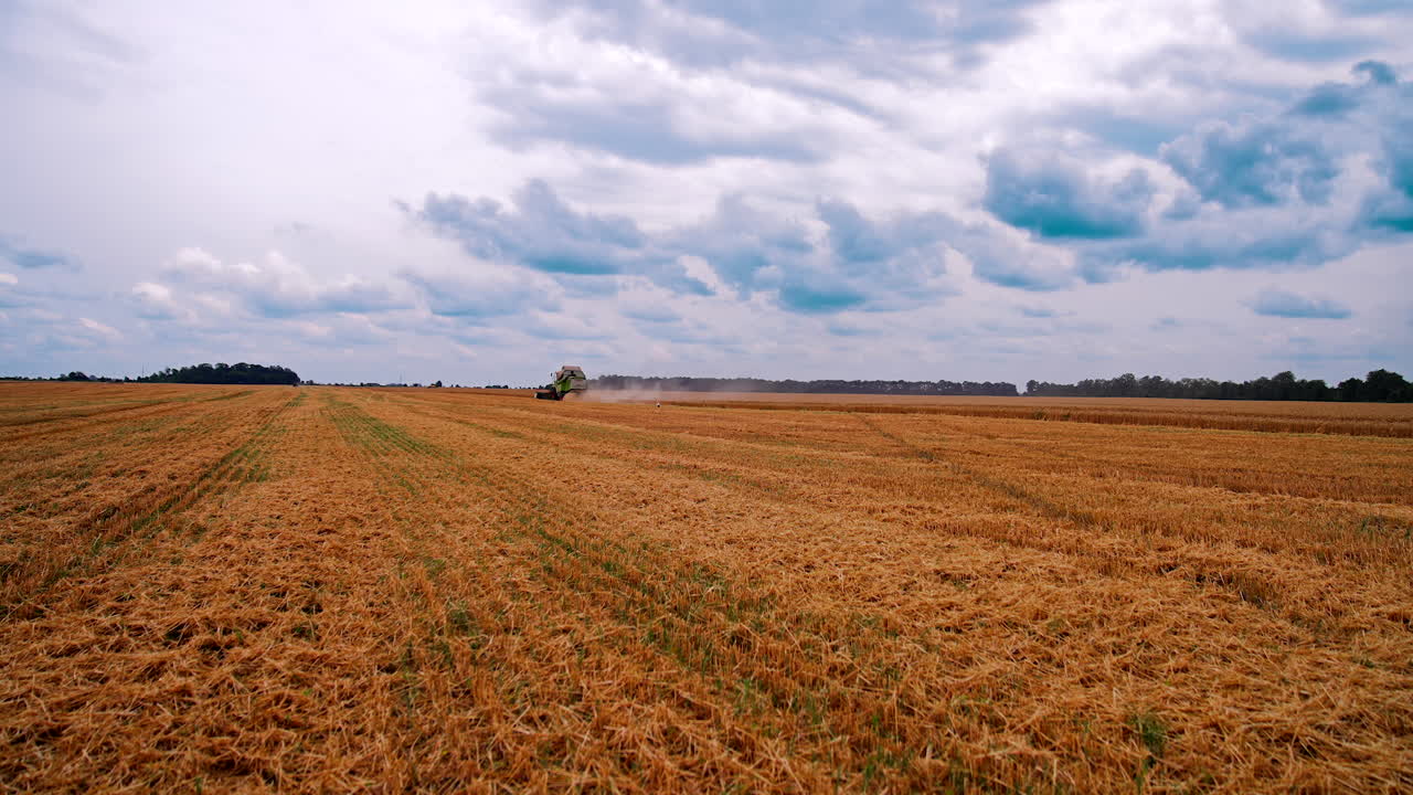 Seasonal works on agriculture field. Panoramic view on field after harvesting wheat. Combine harvester gathering ripe crop in farmland.