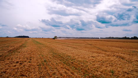seasonal works on agriculture field. panoramic view on field after harvesting wheat. combine harvester gathering ripe crop in farmland.