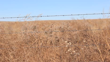 4K-Video-Colorado-Plains-Dolly-left-to-right