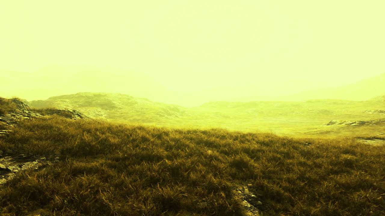 Misty landscape bathed in golden light at dawn evoking serenity and wonder