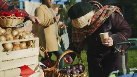 elderly woman chooses plums at the stall elderly woman chooses plums at the stall with fruits and vegetables people walking and shopping on background local farmers market or autumn fair outdoors agriculture point of sale system