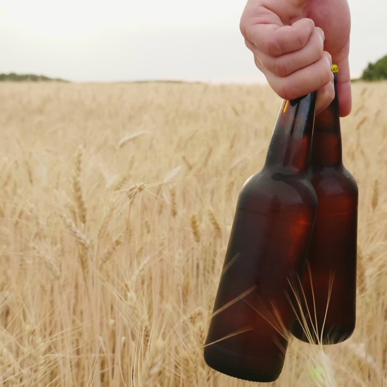 dos botellas de cerveza fría en un día caluroso 1