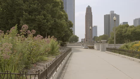 Slow-push-past-native-gardens-at-Ivy-Lawn-in-Chicago-towards-downtown-city-buildings-on-a-pretty-summer-day