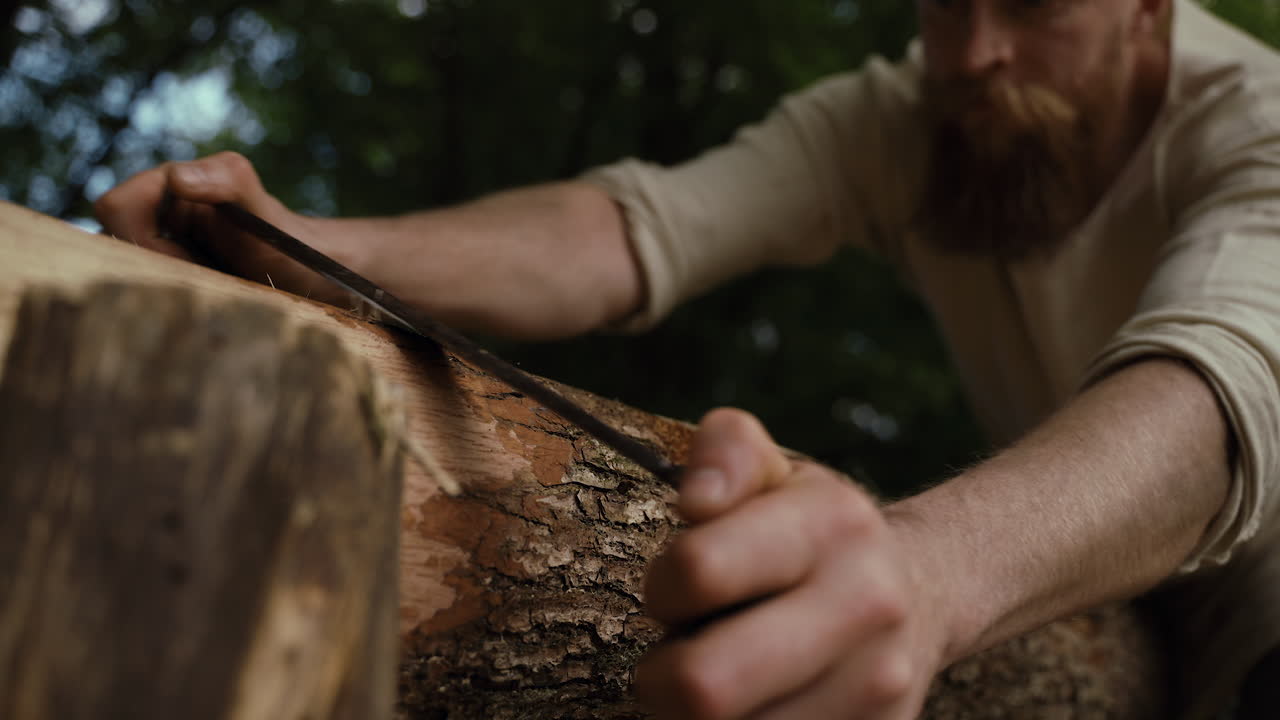 Man sawing wood in the forest