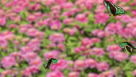 green butterflies flutter gracefully over a vivid pink flower field, creating a serene and lively animation with smooth transitions