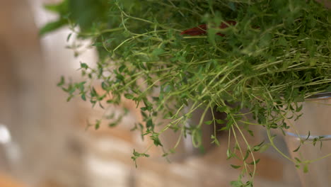 freshly grown thyme and basil herbs in home kitchen, close up view