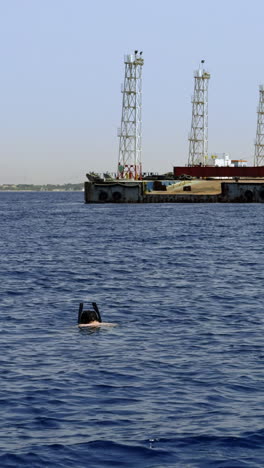 snorkeling near an industrial barge in the red sea