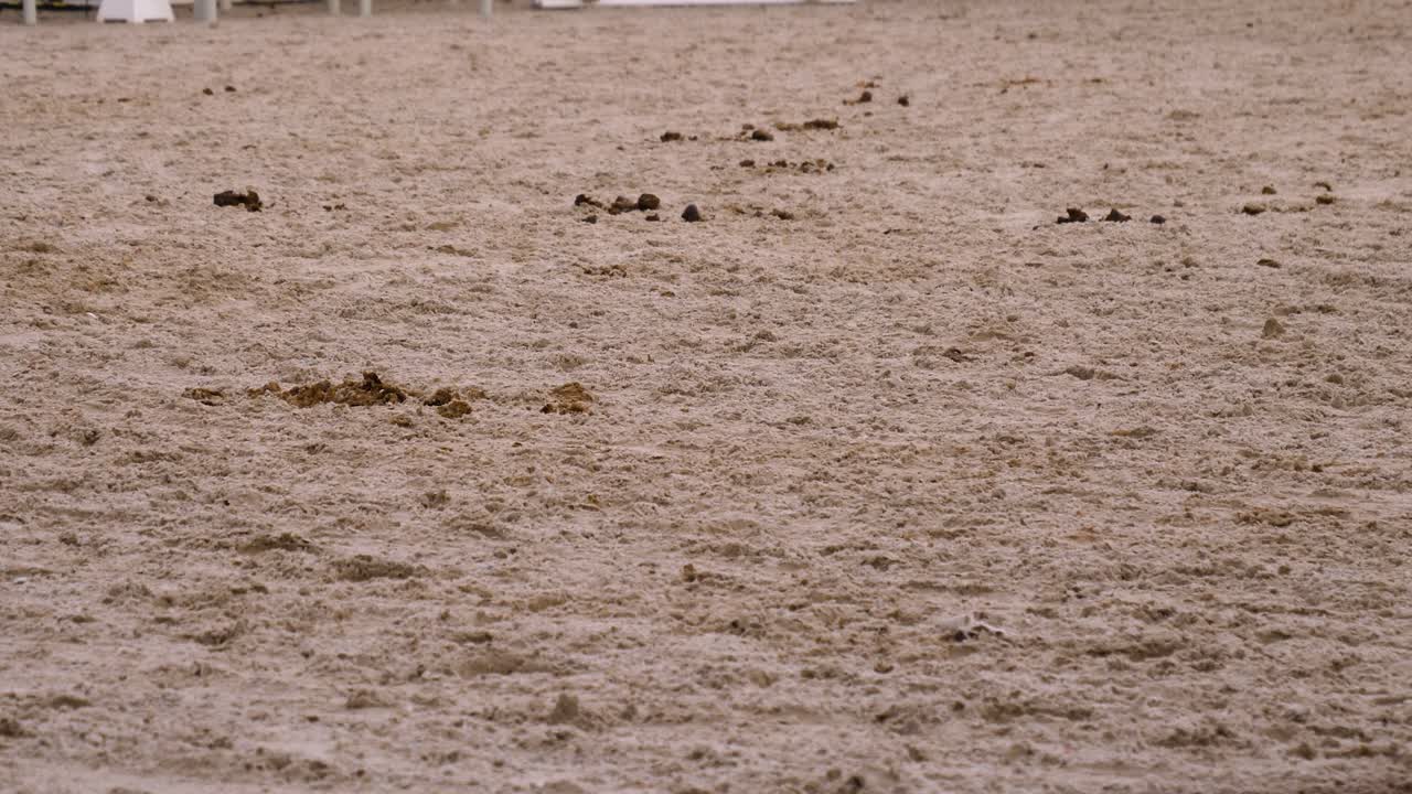 근처에서 말 발의 느린 움직임이 힘줄 부츠와 함께 지나갑니다.