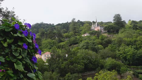 Castle-sits-on-a-foggy-hill