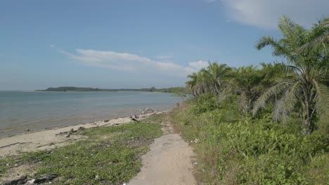 aerial drone view during summer alit fishing village,kabong with, facing open blue sea, white sandy beach,green coconut, palm trees,and river,sarawak,borneo