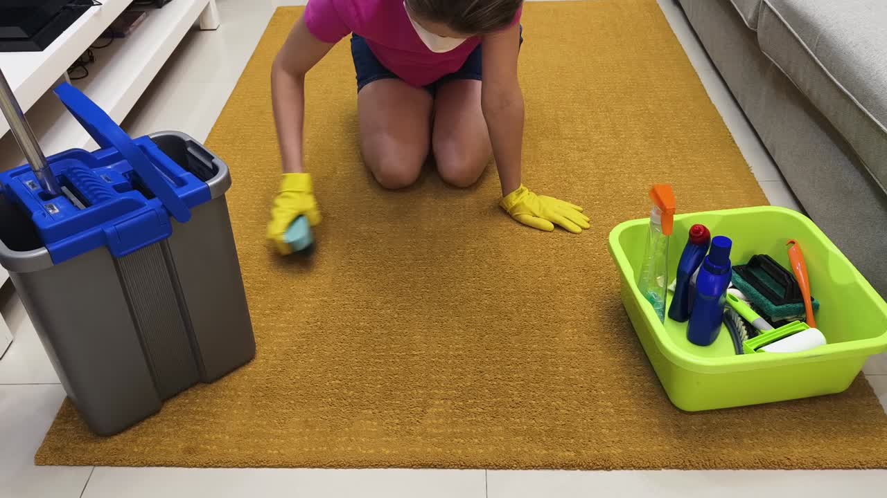 Cleaning Rug
