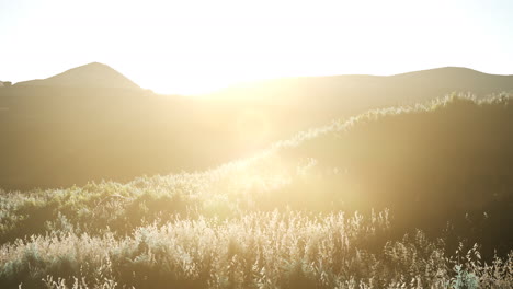 sunset over the valley fields
