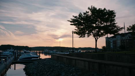 the marina at dawn in virginia summer