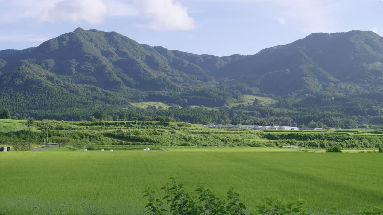 Perfect scenery in Japan with rice fields and mountains in distance