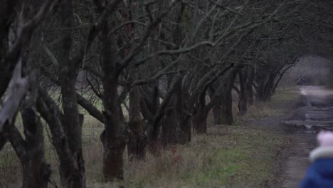 Gente-Caminando-En-La-Niebla-Hacia-El-Final-Del-Callejón-Con-árboles.-Atmósfera-Misteriosa-En-La-Gran-Ciudad