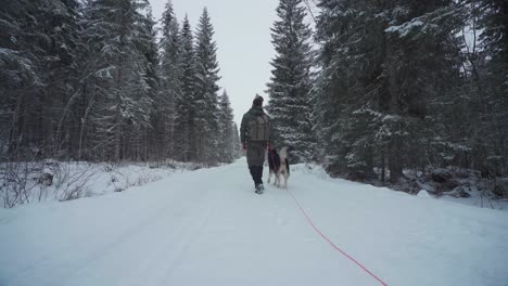 Hiker-With-Alaskan-Malamute-Walking-In-The-Snowy-Trail-With-Pine-Tree-Forest-At-Winter