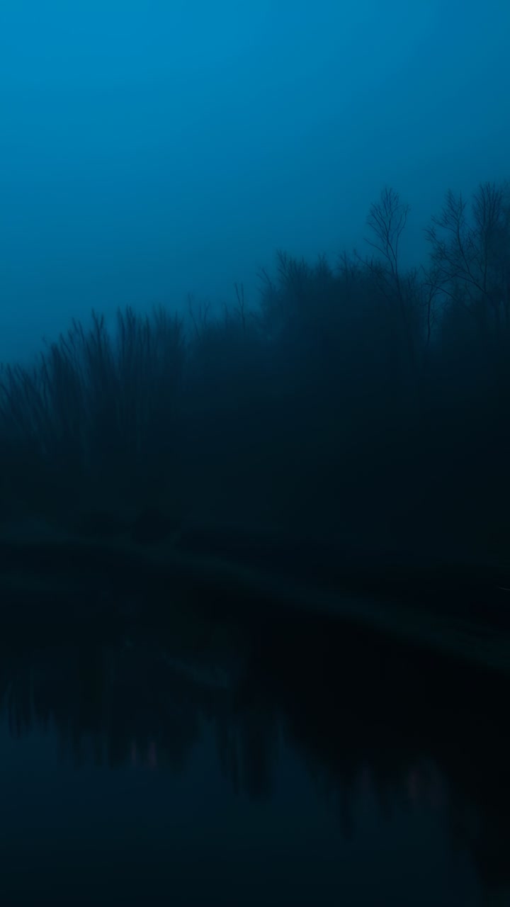 Vertical video: Thinning fog revealing treeline sharpening at lakeside dawn, with calm water