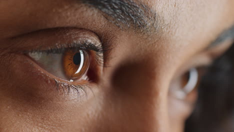 close up macro beauty brown eyes blinking natural beauty cosmetics concept