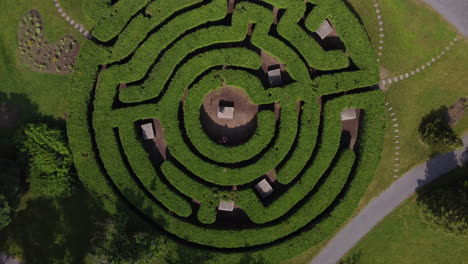 flying out of a cedar maze