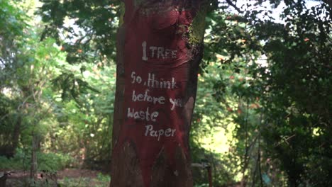 tree quote written on tree 4k in deep forest