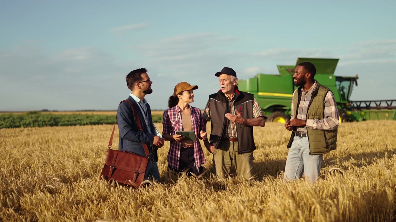 Diverse Group of Professionals Discussing Agriculture in Wheat Field