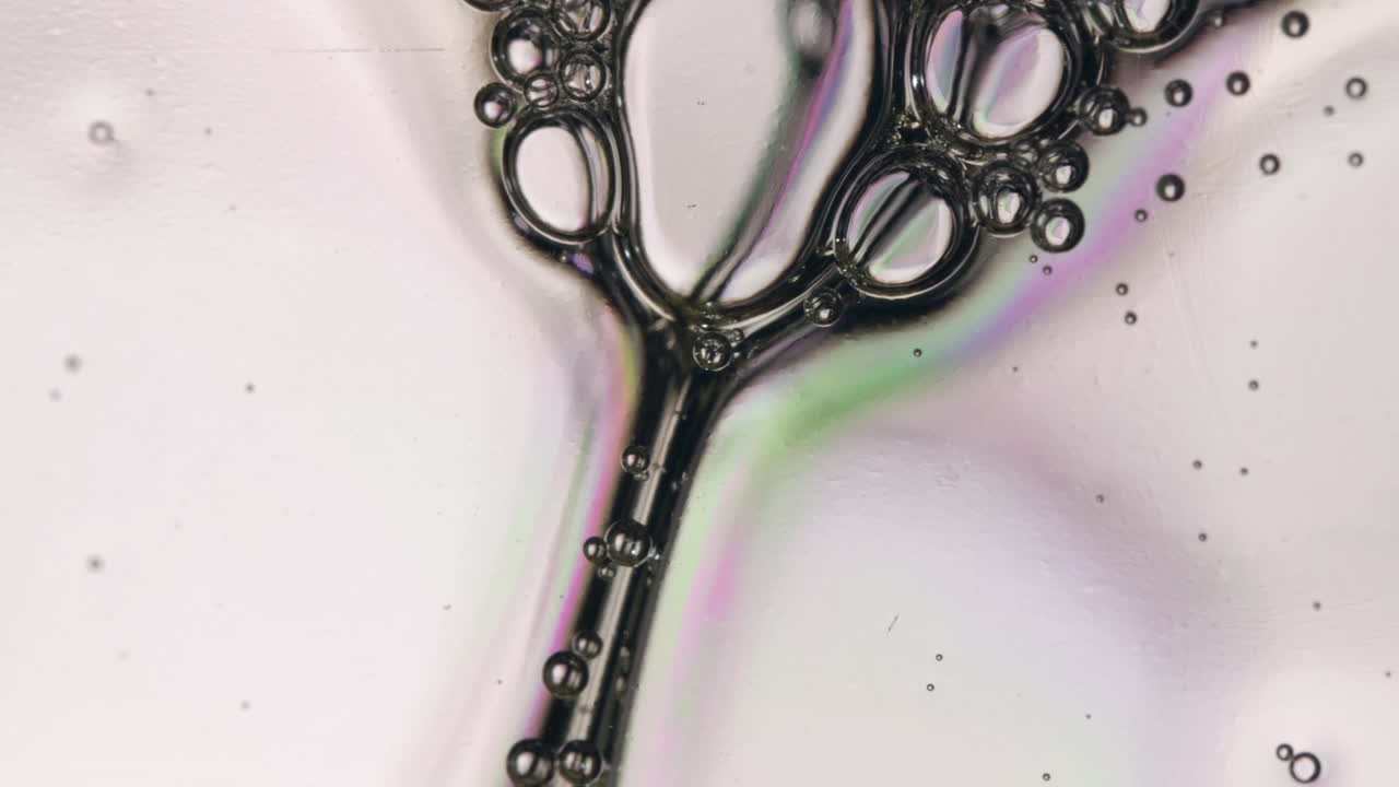 반투명 비누 거품이 흰색 추상 배경에서 천천히 표류합니다.