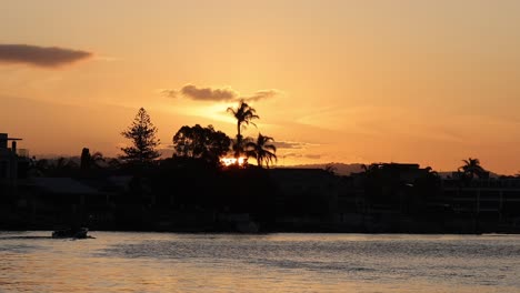 sun setting behind houses and palm trees