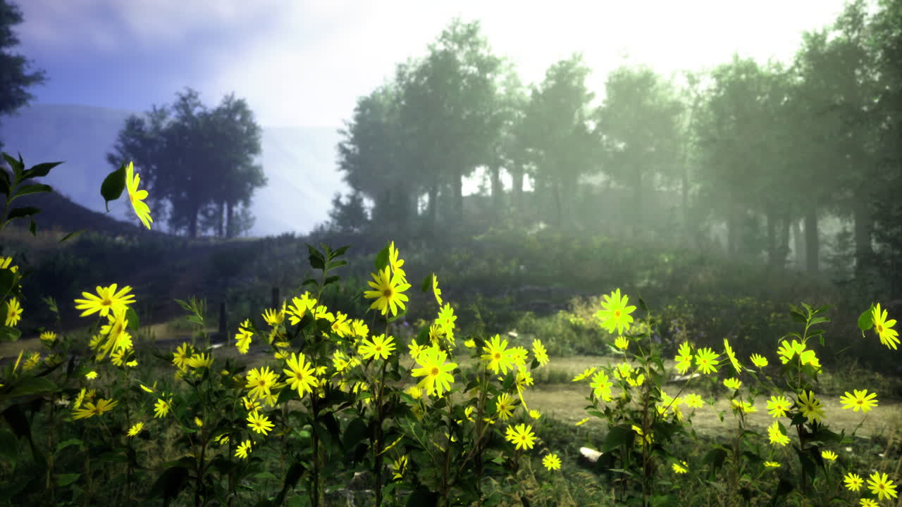 Bright yellow flowers bloom in a misty forest landscape during daylight