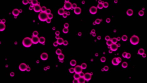 oil pink drops moving in water. abstract background. macro shot of various air bubbles in water rising up on light dark background. suspended spheres of air in oil rest on surface of water