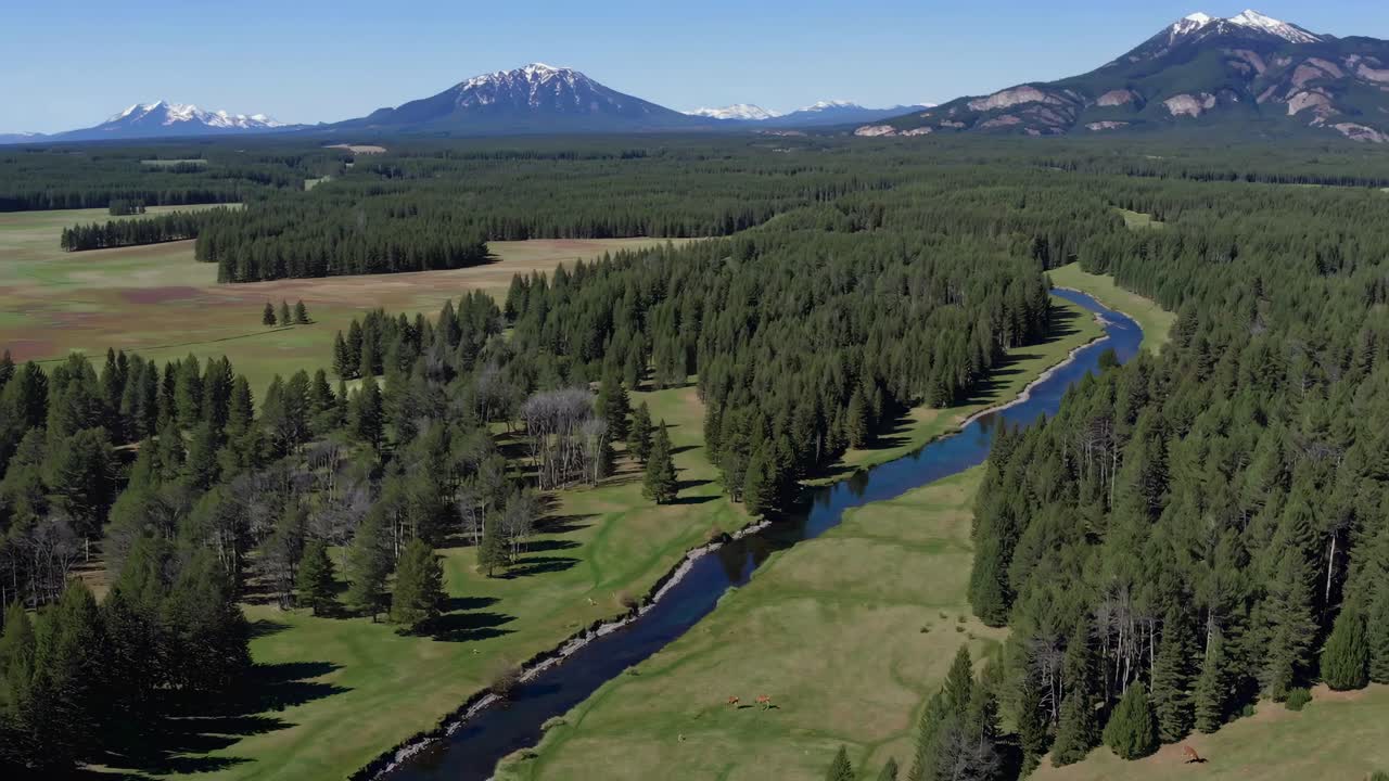 Aerial video captures a scenic landscape with a winding river through dense forests and distant