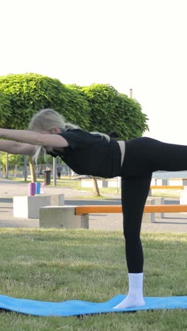young woman yogi athlete doing yoga in park on green lawn exercising young woman yogi athlete doing yoga in park on green lawn exercising keeping leg in air acrobatic element actively stretching body