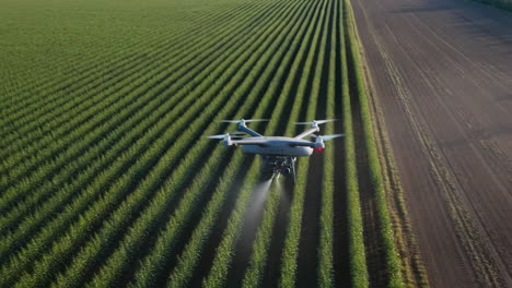 agricultural drone spraying crops in a green field