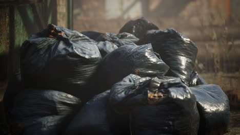 plastic trash bags on curb outside city building