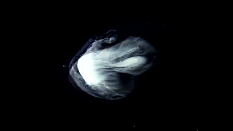 white space nebula clouds cosmic texture background
