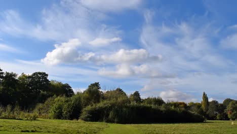 Sunny park with beautiful blue sky D. Fluffy clouds in a beautifully lit natural park scene. No time-lapse. Long clip