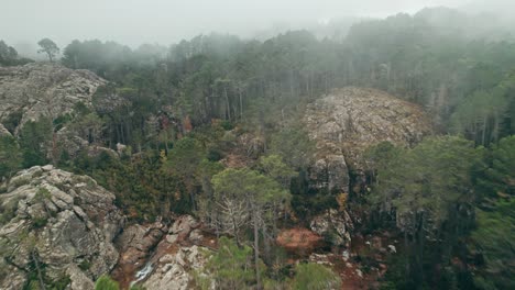 Drone-Volando-Cerca-De-Un-árbol,-Bosque-De-Montaña-Brumoso,-Córcega