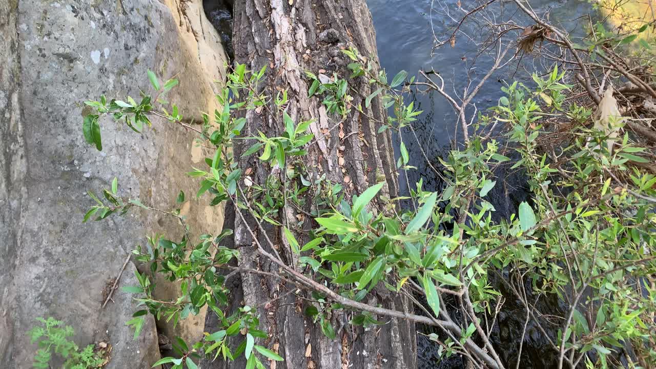 ruta de senderismo desafiante al aire libre hd