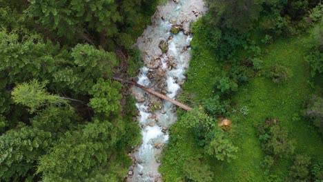 Austrian-Alps-River-rapids-forest-tree-overhead-aerial