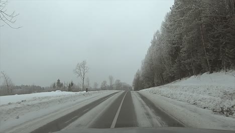 winter road with beautiful white trees