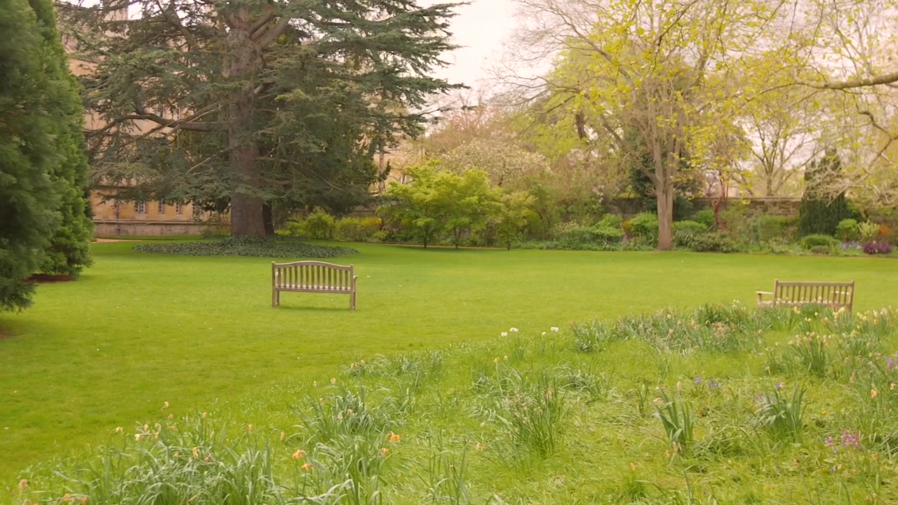 Malerischer Garten am Wadham College, Universität Oxford, Vereinigtes Königreich.