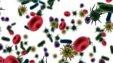 Digitally-generated-virus-cells,-red-blood-cells-and-bacteria-against-white-background