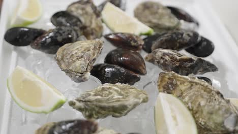 a selection of fresh mussels and oysters laid out on ice